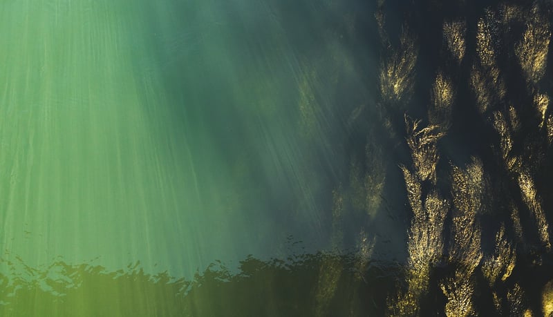Underwater Wonderland