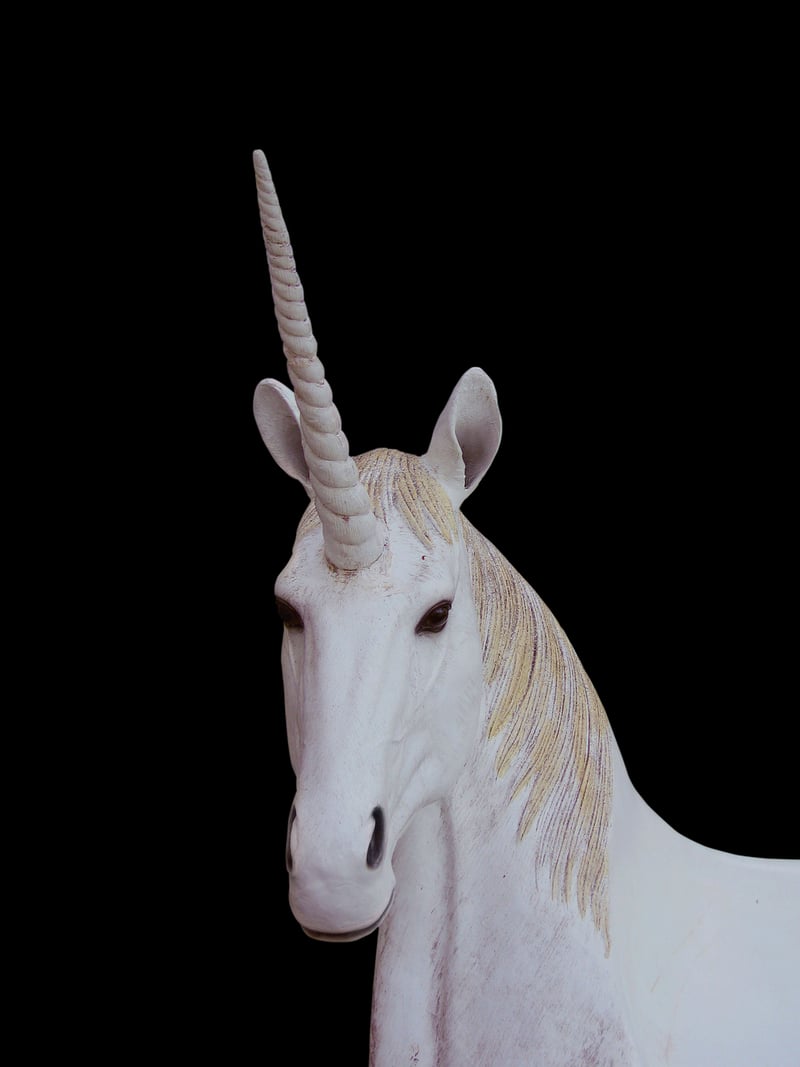 Unicorn Horn
